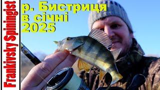 Зимова риболовля головня на Бистриці: складно, але цікаво! 🎣❄️