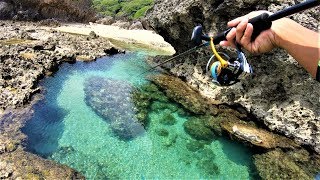 透き通った水溜りにエサを落とすだけで…⁉【沖縄釣り】