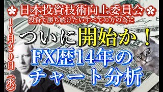 【 FXライブ 】2019.11.20  ついに開始か！陰線続きの急落待つ！4時間陽なら上！ガチで勝ちたい人の為の未来シナリオ研究所🔸第164回後半戦🔸【 🔰FX初心者～中級者🔰 】