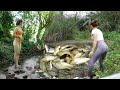 TIMELAPSE: Daily Life, Fishing, Solo Camping, Hunting Wild Fish, Adventure in Nature | Girl Fishing