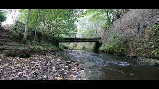 Peaceful River Flowing Timelapse - Soothing Nature Sounds