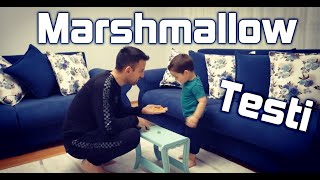 Marshmallow testi -  İrade Kontrolü - Zevki Erteleme Becerisi Testi