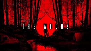Atmospheric Horror Synth / Retro Synth Mix - The Woods // Royalty Free No Copyright Background Music