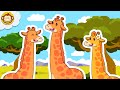 Lagu Anak Anak | Lagu Hewan | Jerapah 🦒 | Mengenal Binatang | BaLiTa