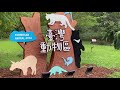 109培訓市民製作有線電視短片—潘豪 台北動物園一日遊