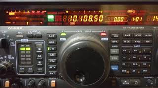 Ducie I  VP6D  10MHz CW in JA7