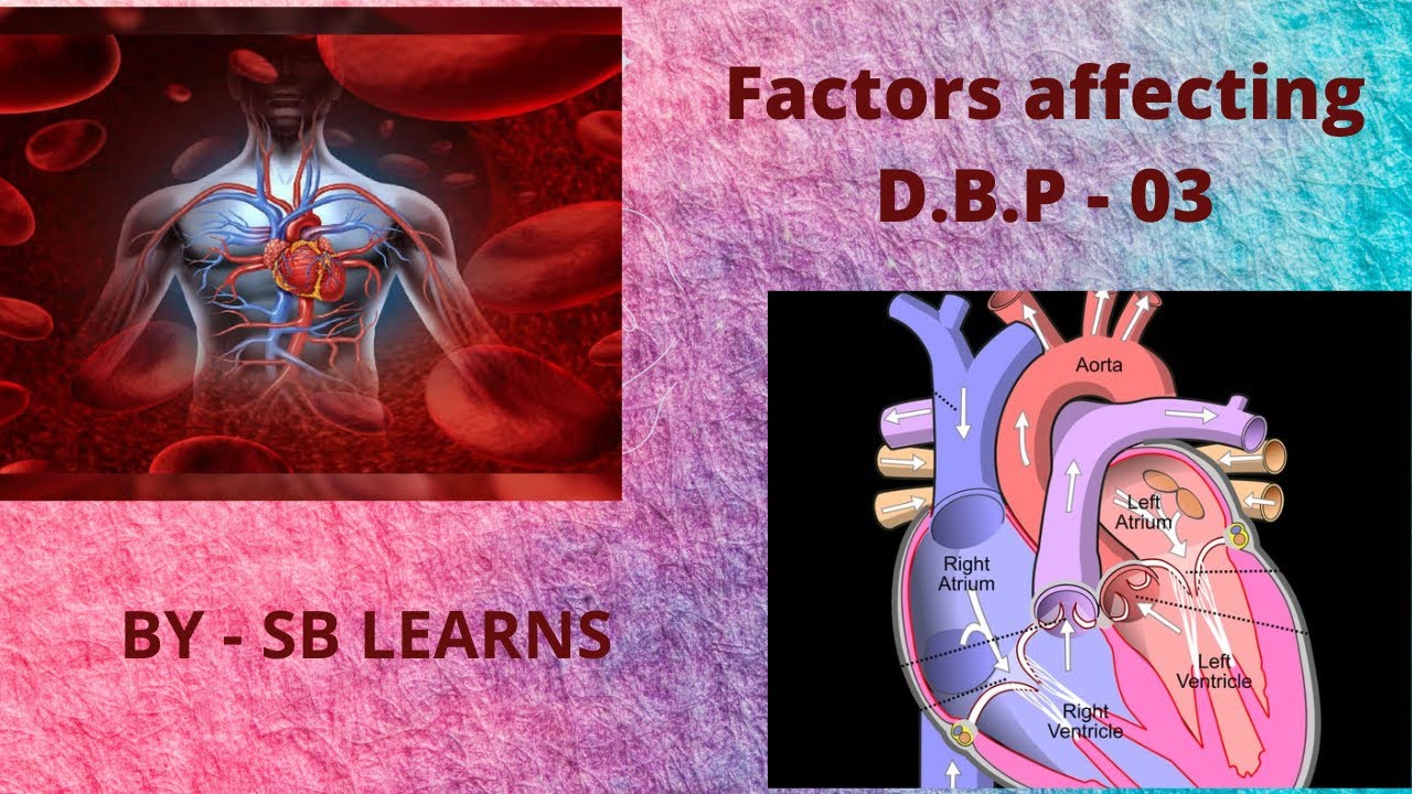 Factors Affecting D.B.P II Lecture No - 03 - YouTube