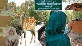 Kalagachia Park | সুন্দরবন কলাগাছিয়া | সুন্দরবন ভ্রমণ