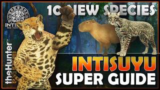 10 NEW Intisuyu Species HOTSPOT SUPER GUIDE! (Best Times, Info & Hotspot Maps)