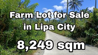 8,249 SQM Farm Lot for Sale in Lipa City