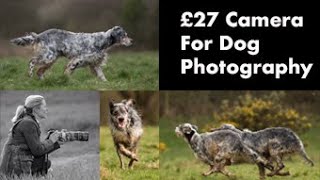 Dog Photography with a £27 Canon Camera