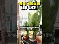 영국 식물 너무 싸서 놀라지 마세요 식집사 plants 식물쇼핑