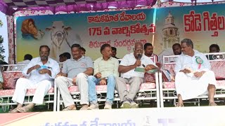 రెంటచింతల గ్రామము 6 పళ్ళు విభాగము డ్రా లిస్ట్