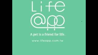 Lifeapp寵物緩壓睡墊 清潔與組裝 How to clean/assemble Lifeapp Pet Mat?