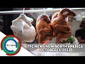 TFC News News Now North America | October 13, 2022