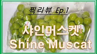 껍찔째 먹는 청포도, 샤인머스켓(Shine Muscat) 싸게 샀어요! 가격 얼마?/솔직리뷰 Ep.1