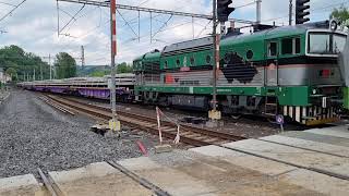 IDS Cargo 365.003-3  a postrk   753.197-3 s 751.115-7  v žst Roztoky u Prahy dne 24.6.2021 v 14:40