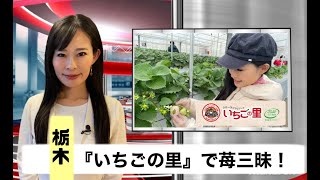 【47pick up NEWS】『いちごの里』で苺三昧