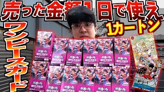 【丸一日】ワンピースカード1時間に1ボック開封して出た金額分使わないと没収される誕生日が辛すぎた。