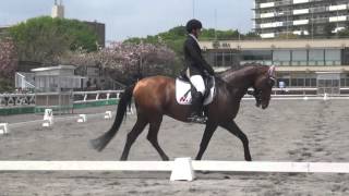 4月ホーストライアル　ノービス競技調教審査　1年　磯野　太　桜酔