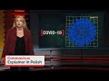 Polish: Coronavirus Information in Your Language | Information Video | Portal Available Online