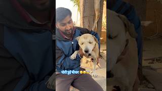 मोटी हुई बीमार 😢😖😰🐶|#dog