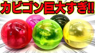 巨大カビゴン！組み合わせ自由！ポケモン みんなのカビゴン ガチャガチャ全５種 開封レビュー POKEMON Capsule Toy