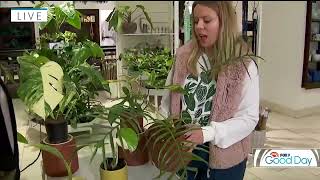 Garden Guy Dale - Lost in the Forrest Plant Shop | Gertens Garden Center