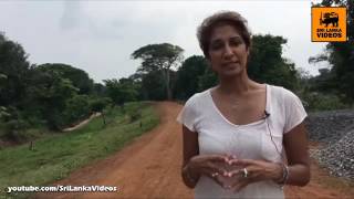 විල්පත්තුව ගැන ඔටාරා කියූ දේ මෙන්න   Otara Speaks About Wilpattu