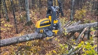 Ponsse Scorpion King cutting clump of oaks