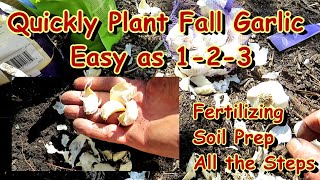 Planting Fall Garlic Made Quick & Easy:  All the Steps From Soil Preparation to Planting Cloves