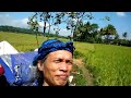 Download Peternak Itik, Dedi Mulyadi dan Prabu Siliwangi To Mp4 3Gp Full HD Video 2