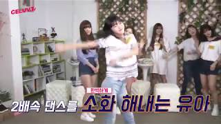 [셀럽티비] 오마이걸(Oh my girl) / 오.마이.걸 열맞춰, 랜덤댄스!