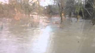 Rickmansworth Aquadrome \u0026 Grand Union Canal - Floods Feb 20