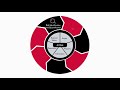 G4S Academy Security Risk Management Guide