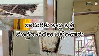 ఇంటికి చెదలు పడితే ఇలా చెదలు నివారించాలి I Pest Control in Home I Termites Telugu