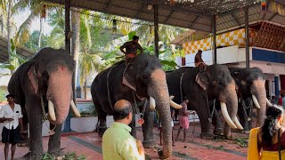 പെരിങ്ങാവ് സ്വർഗ്ഗവാതിൽ ഏകാദശിക്ക്‌ അണിനിരന്ന ഗജവീരന്മാർ 😍