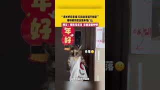 相亲没成功，看着还挺帅的，哈哈哈 #萌宠 #funny #搞笑