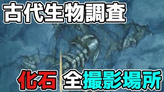 原神「古代生物調査」隠し世界任務「化石の全撮影場所」について【げんしん/攻略解説】そうがんきょえん,層岩巨淵,2.6