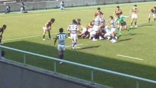 ラグビー全明治対全慶應義塾ー明治のトライシーン  A try grabbed by Meiji