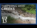 Trail cams find Millcreek flooding caused by hikers creating barriers