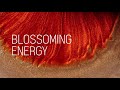 Mamonde Blossoming Energy™