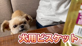 グラン・デリ 犬用マリービスケット チワワ×シーズー