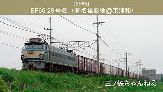 【EF66】EF66-28号機　有名撮影地@東浦和　(2010年)