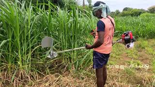 மாட்டிற்க்கு தீவன புல் அறுக்கும் இயந்திரம் || 100% Value For Money || Brush Cutter