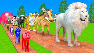 Paint Animals Duck,Tiger,Cow,Lion,Zebra,Gorilla,Bird,Dinosaur Fountain Crossing Animal Game No