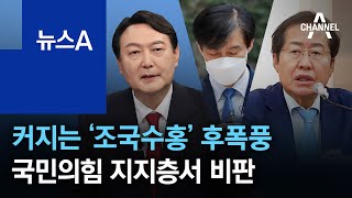 커지는 ‘조국수홍’ 후폭풍…국민의힘 지지층서 비판 | 뉴스A