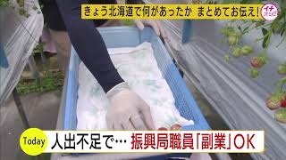 日高振興局職員の勤務時間外の副業を可能に…働き手不足の解消狙い　時給は最低賃金の８８９円で月３０時間