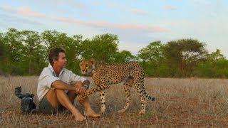 Living Among Cheetahs | Man, Cheetah, Wild