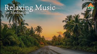 Dive Deep Within | Peaceful Relaxing Music for Meditation